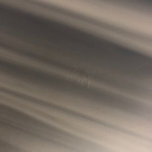 Meet your Posher, Michela